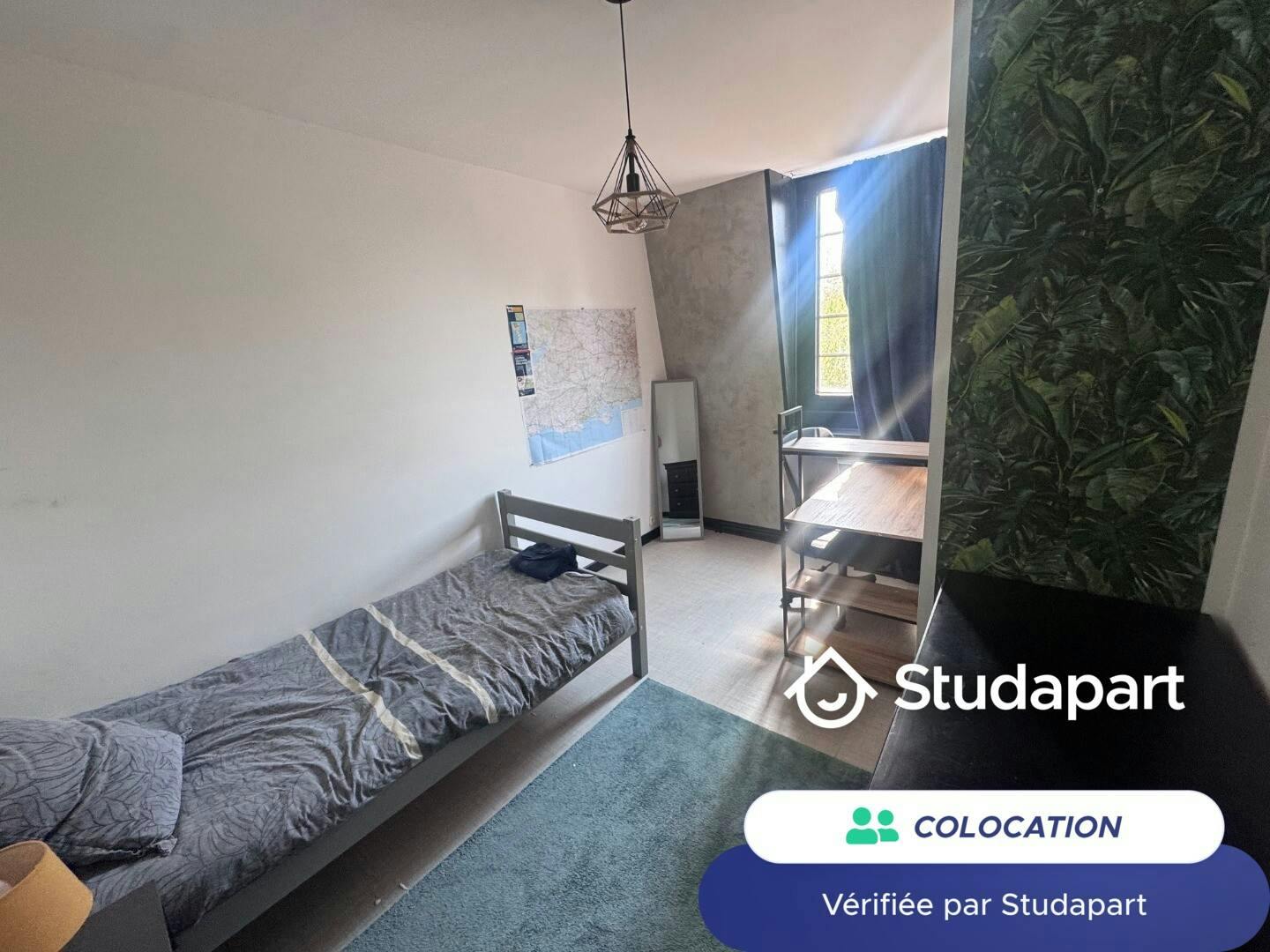 Private room for rent on Rue de Belle Vue, Lille - Plus