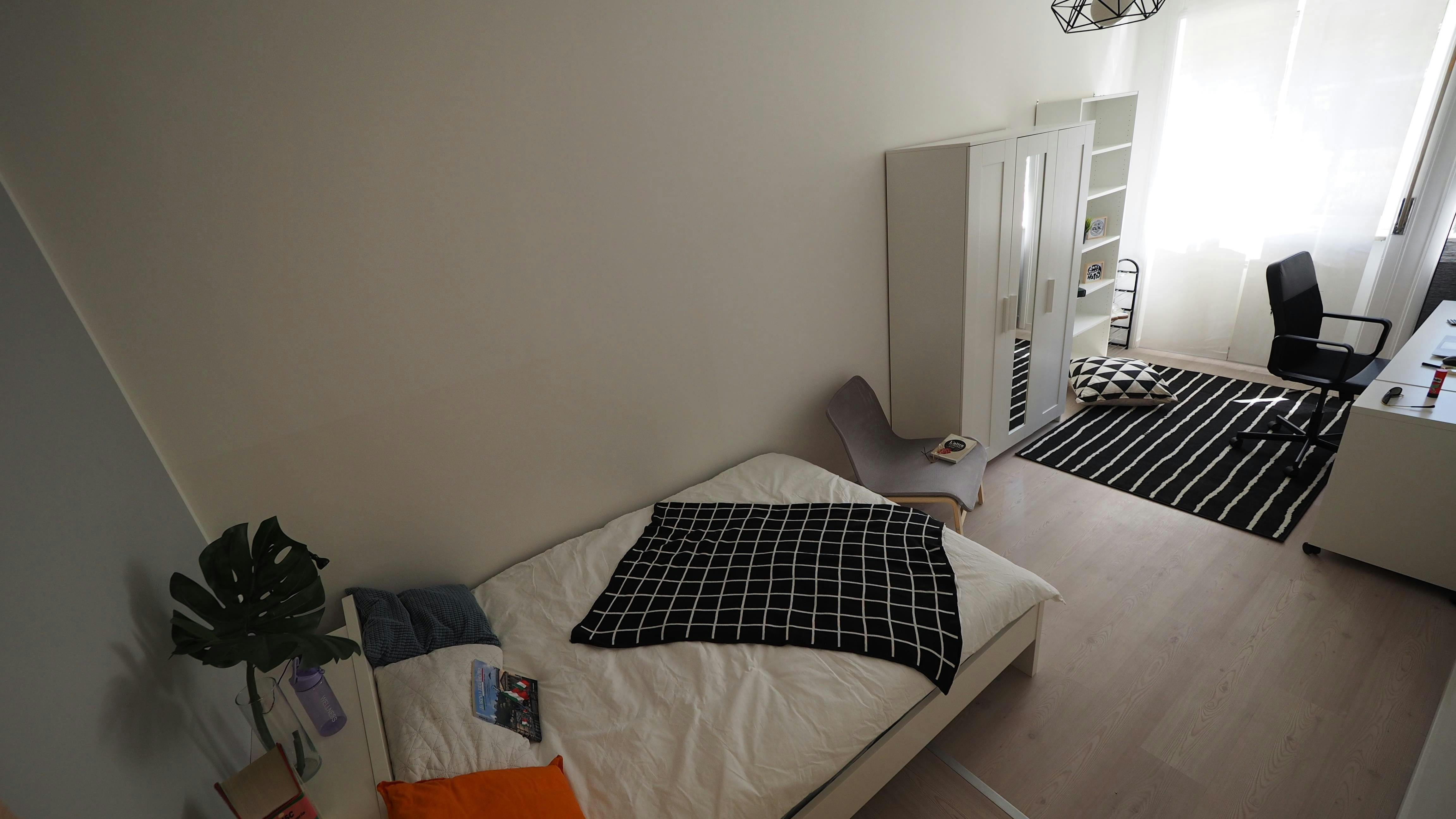 Private room in Corso Vittorio Emanuele II, Turin (1728867) ROOM 2