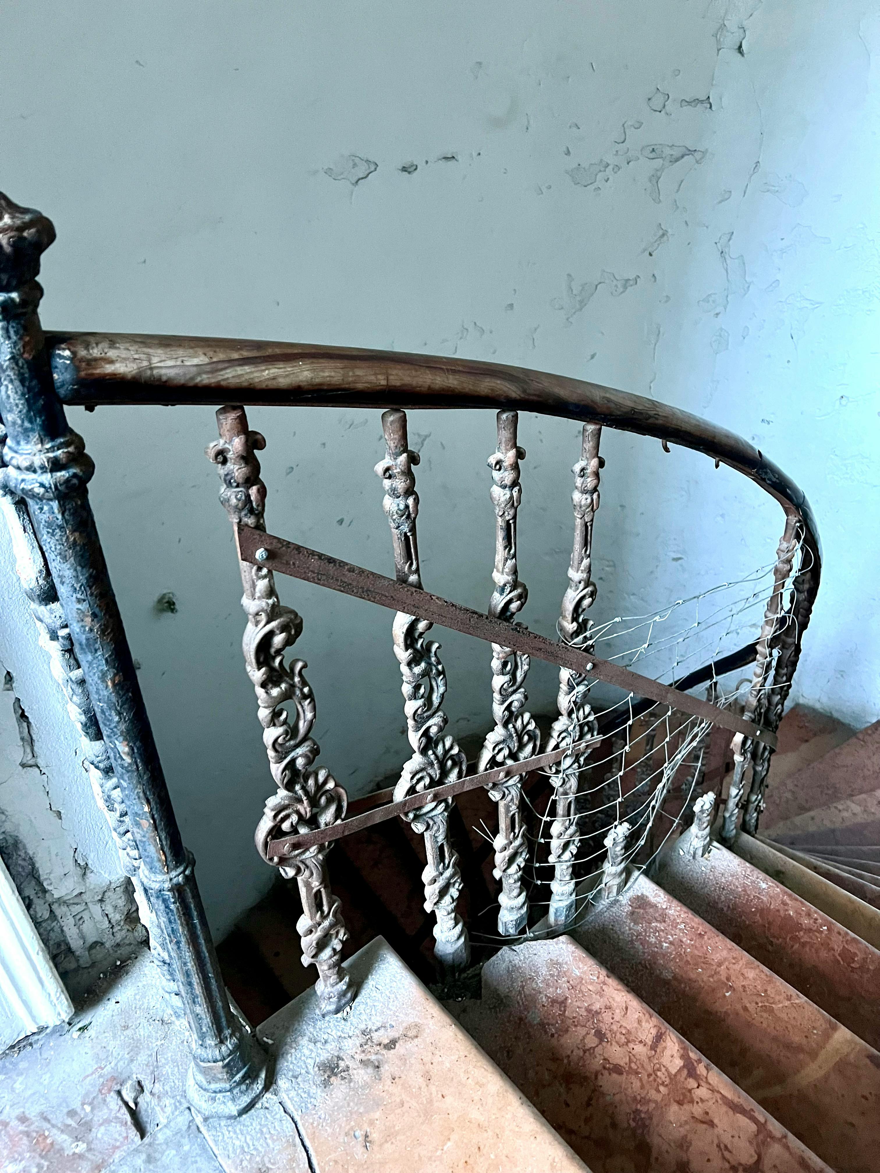 Image #8