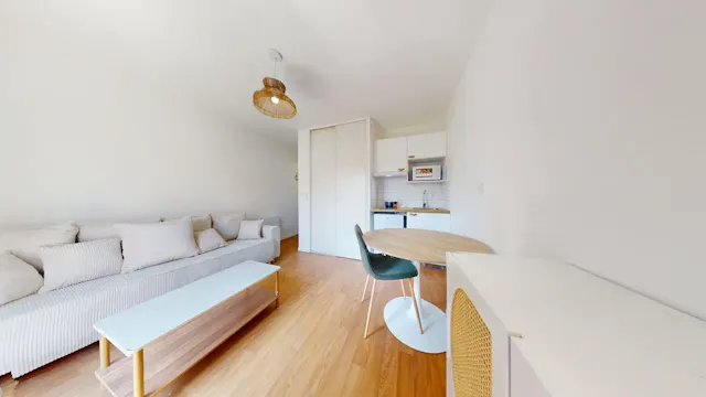 Apartment in Rue du Professeur Pierre Victor Galtier, Villeurbanne (1729326) room image 2