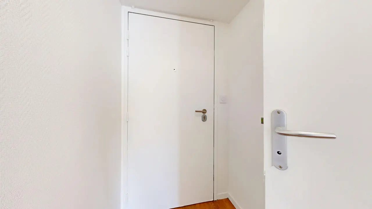 Apartment in Rue du Professeur Pierre Victor Galtier, Villeurbanne (1729326) room image 7