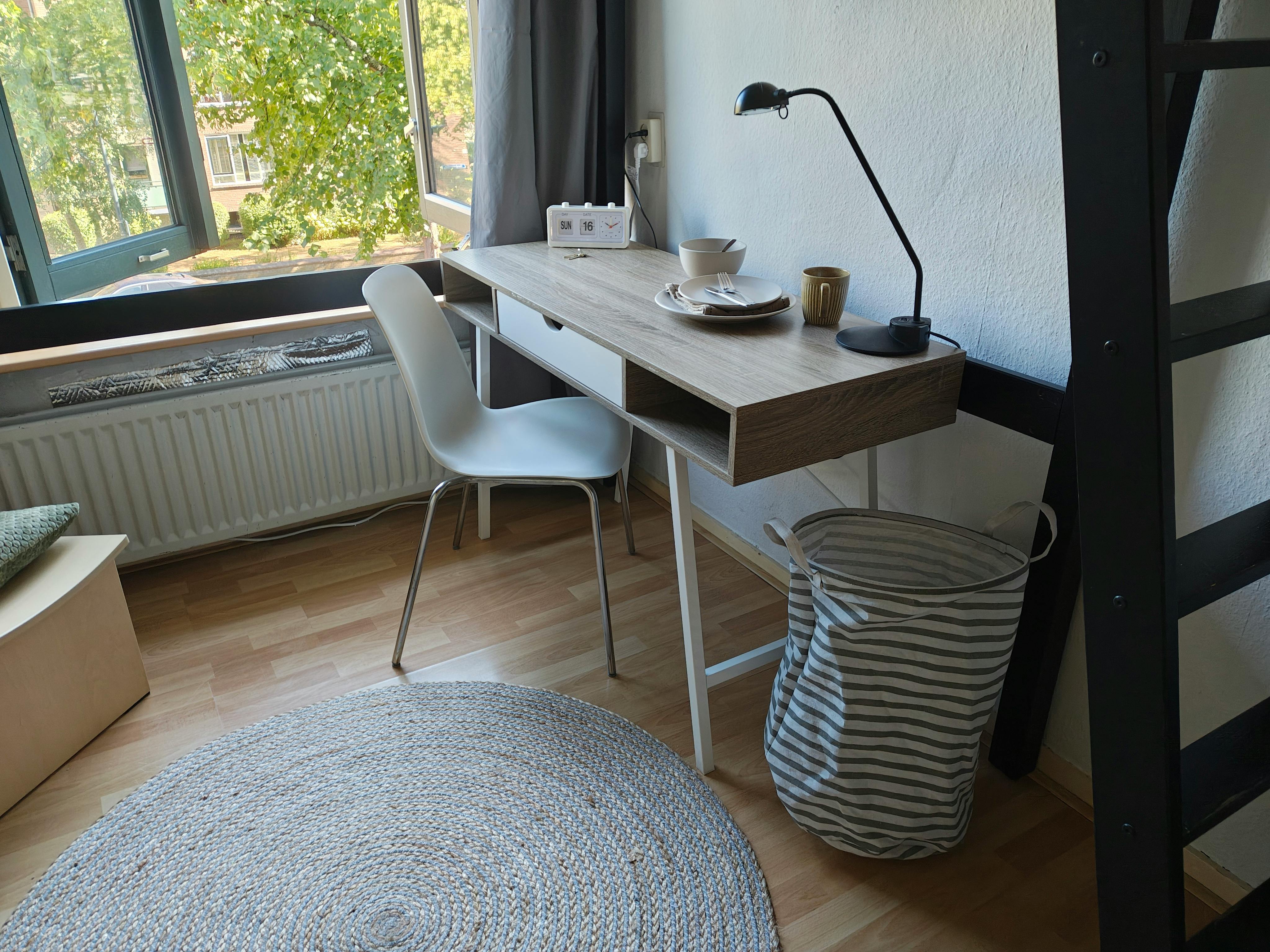 Privat rum att hyra för 850 € i månaden i Leiden, Burggravenlaan