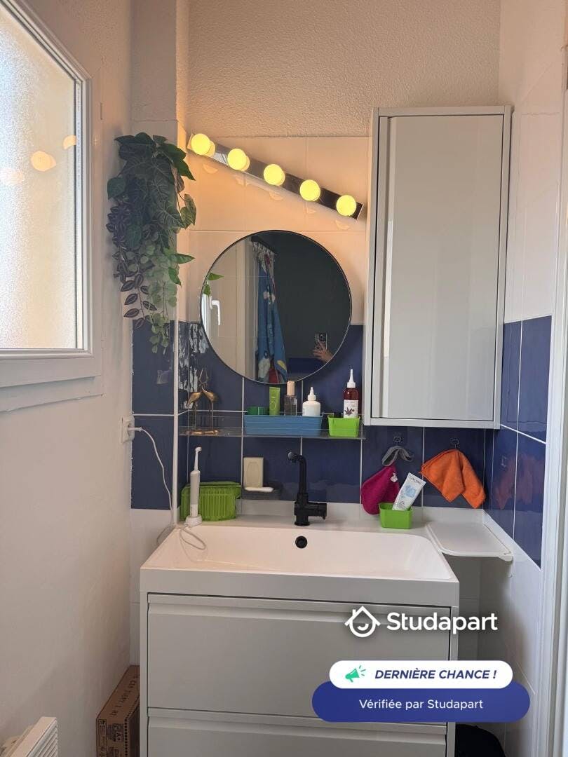Private room for rent on Chemin de Gaillardie, Toulouse - Plus