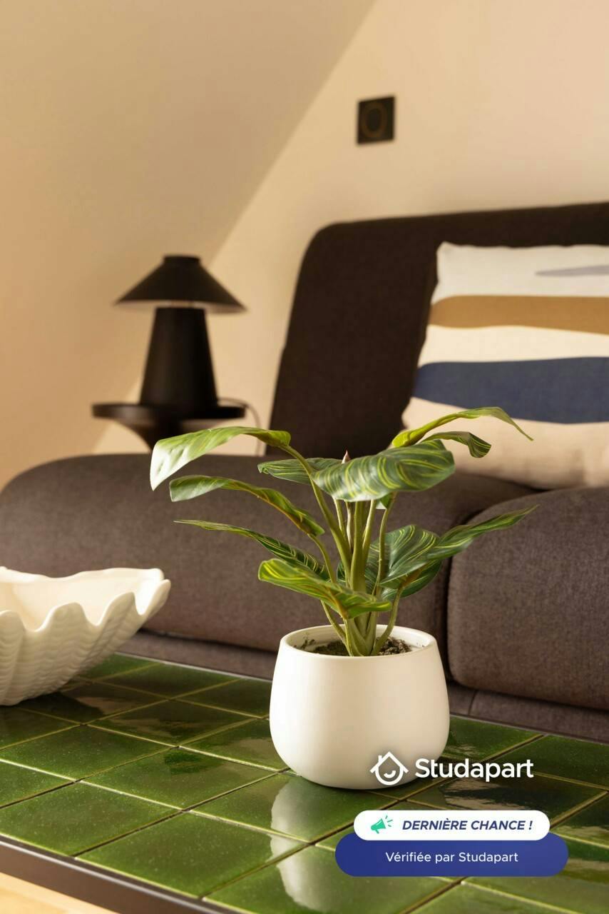 Appartement – Paris, Quartier de Bonne-Nouvelle - Vue 3