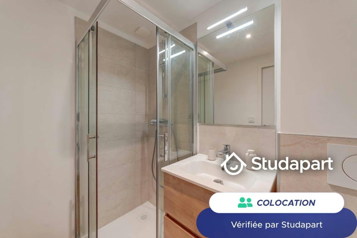 Private room for rent on Avenue des Acacias, Lyon - Plus