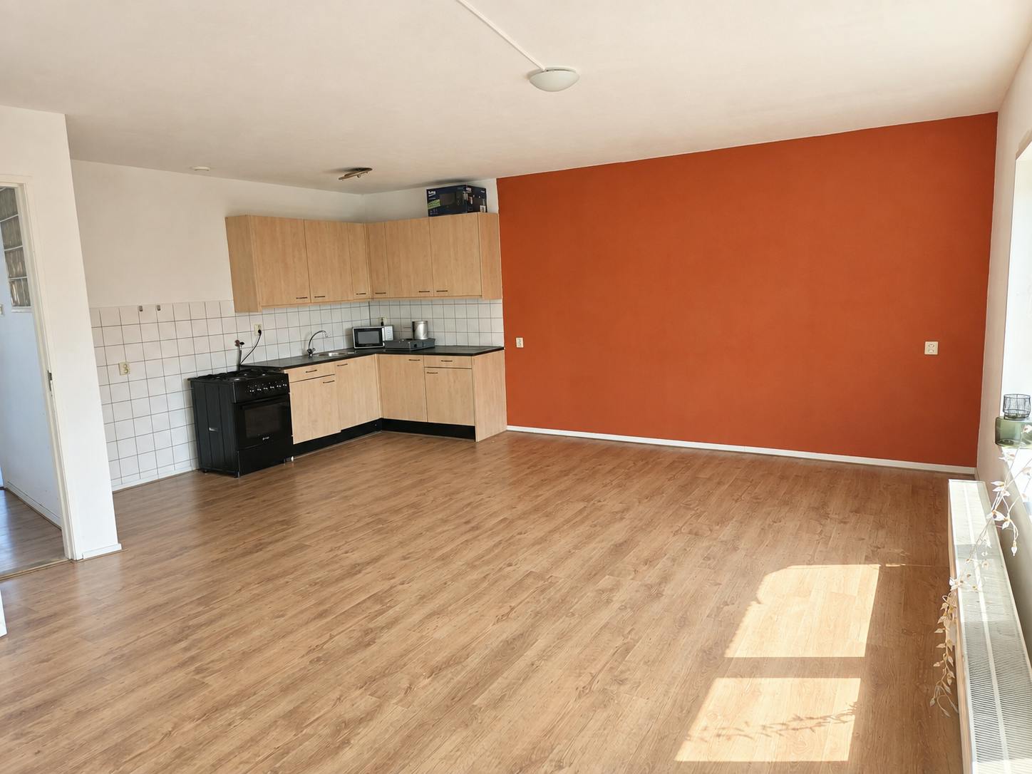 1-Bedroom Apartment in Wolphaertstraat, Rotterdam (1730735) ROOM 1