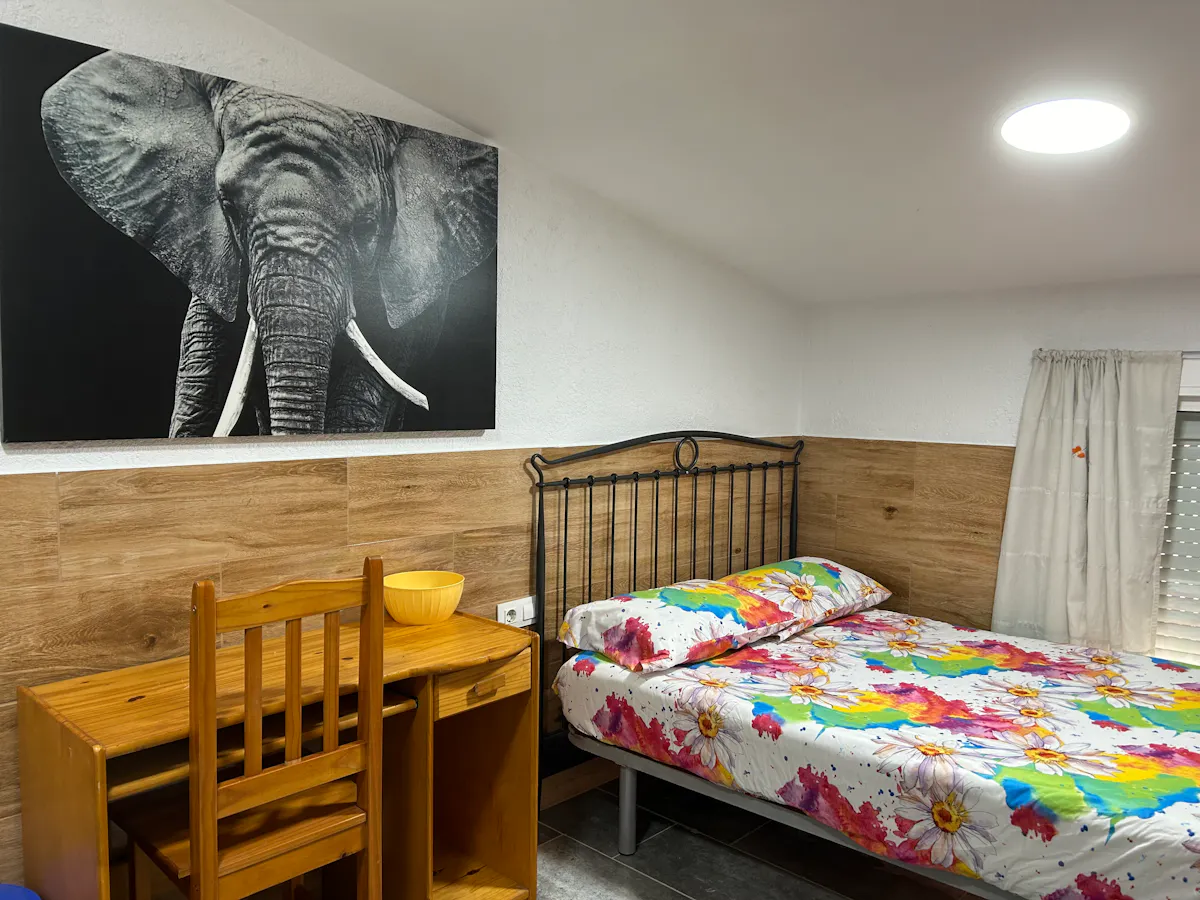 Apartment in Carretera de Collblanc, L'Hospitalet de Llobregat (1730834) ROOM