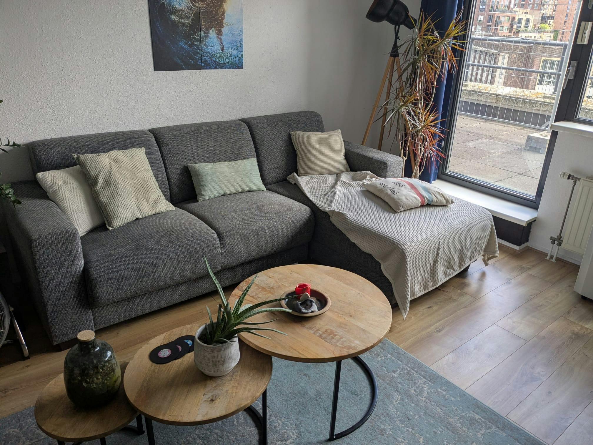Apartment in Rochussenstraat, Rotterdam (1731075) ROOM 2