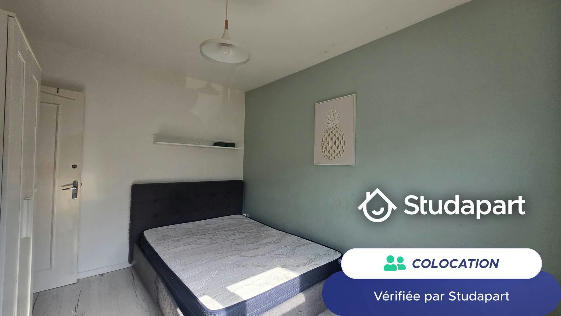 Private room for rent on Rue Laplace, Lille - Vue 4