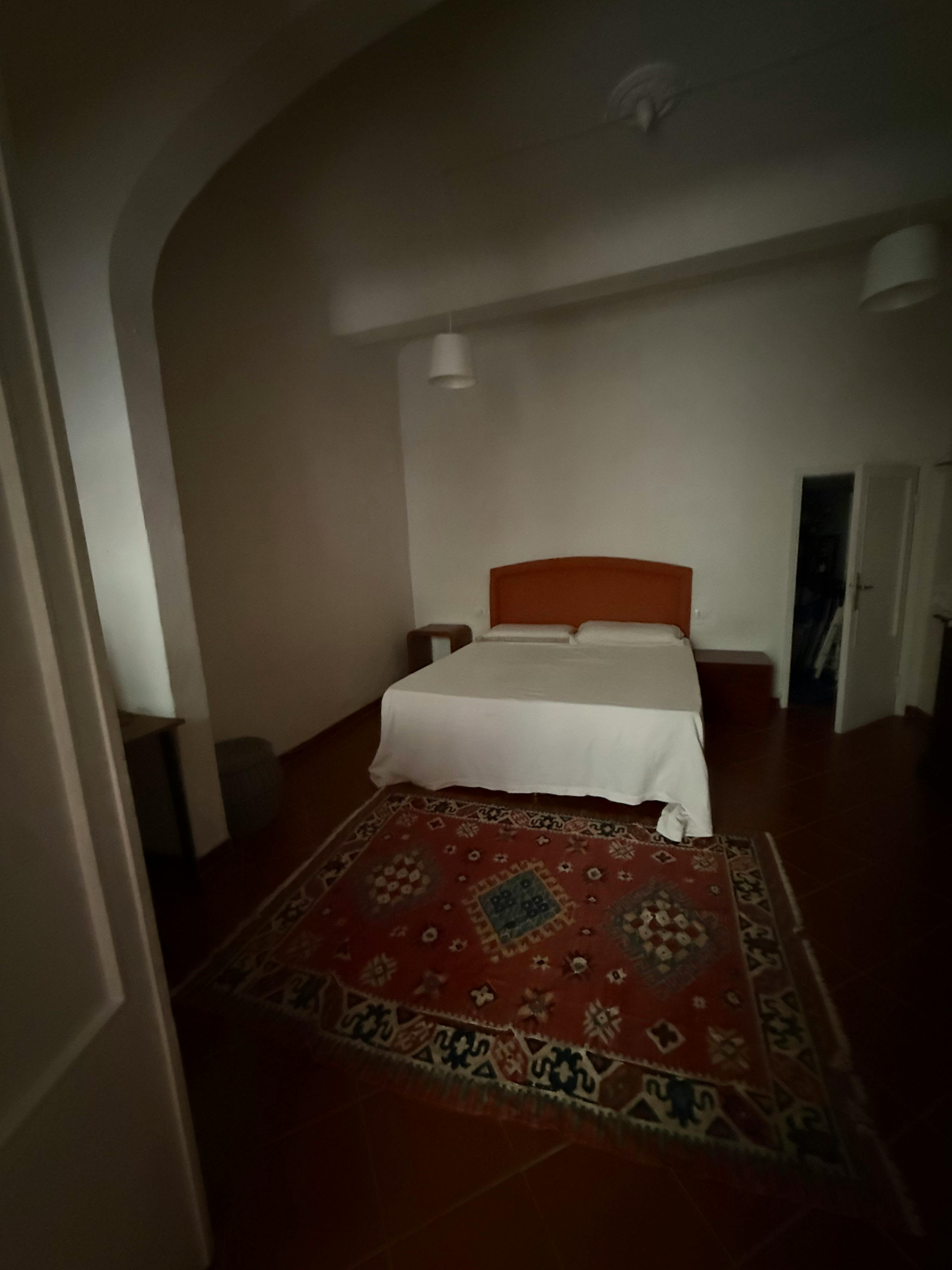 1-Bedroom Apartment in Via dei Pilastri, Florence (1731548) ROOM 4