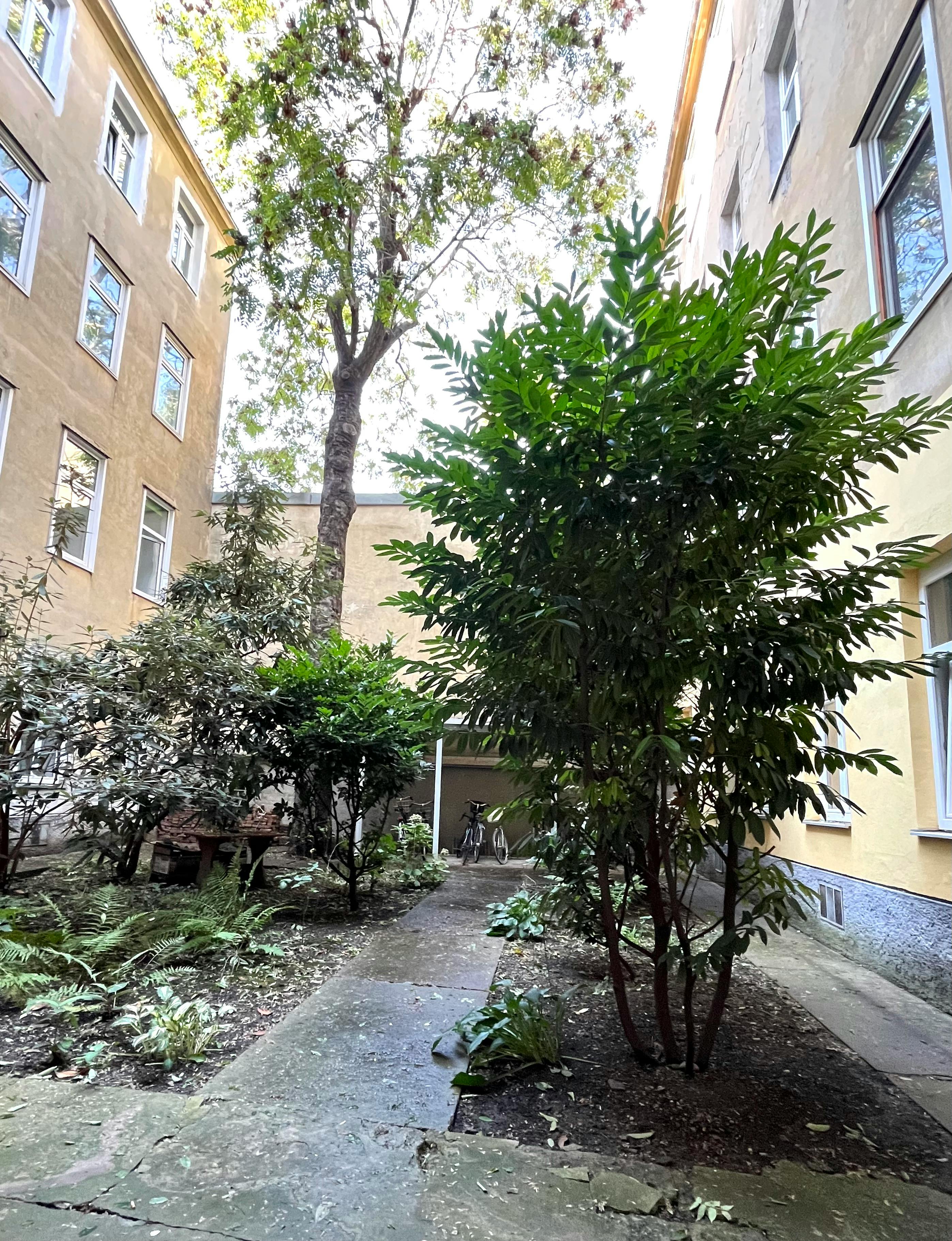 1-Bedroom Apartment in Burggasse, Vienna (1731624) room image 8