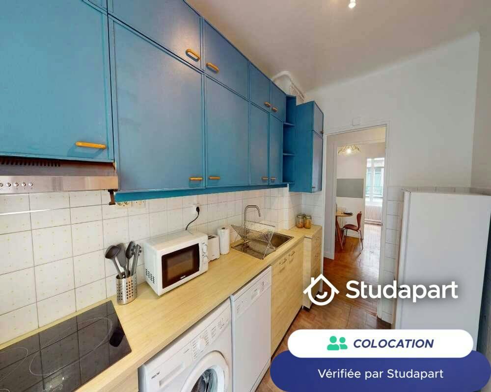 Private room for rent on Rue Louis Codet, Paris - Plus