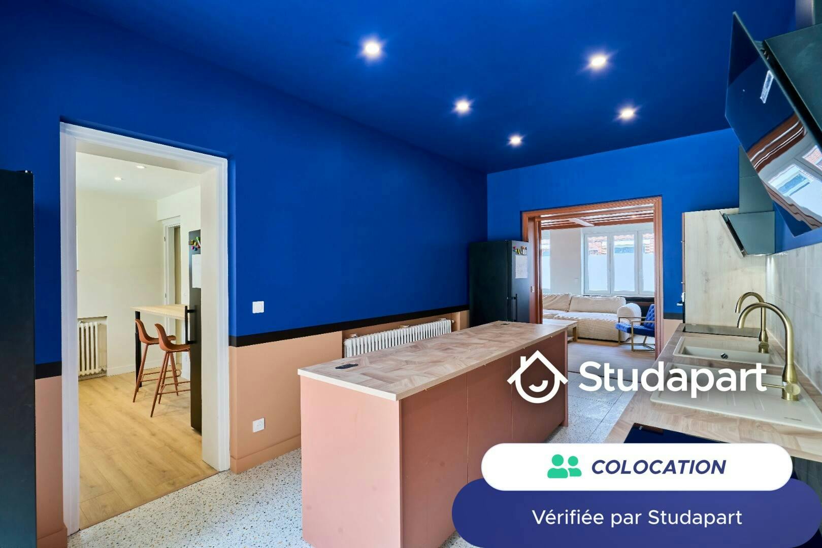Private room for rent on Rue Pierre Baumann, Lille - Vue 5