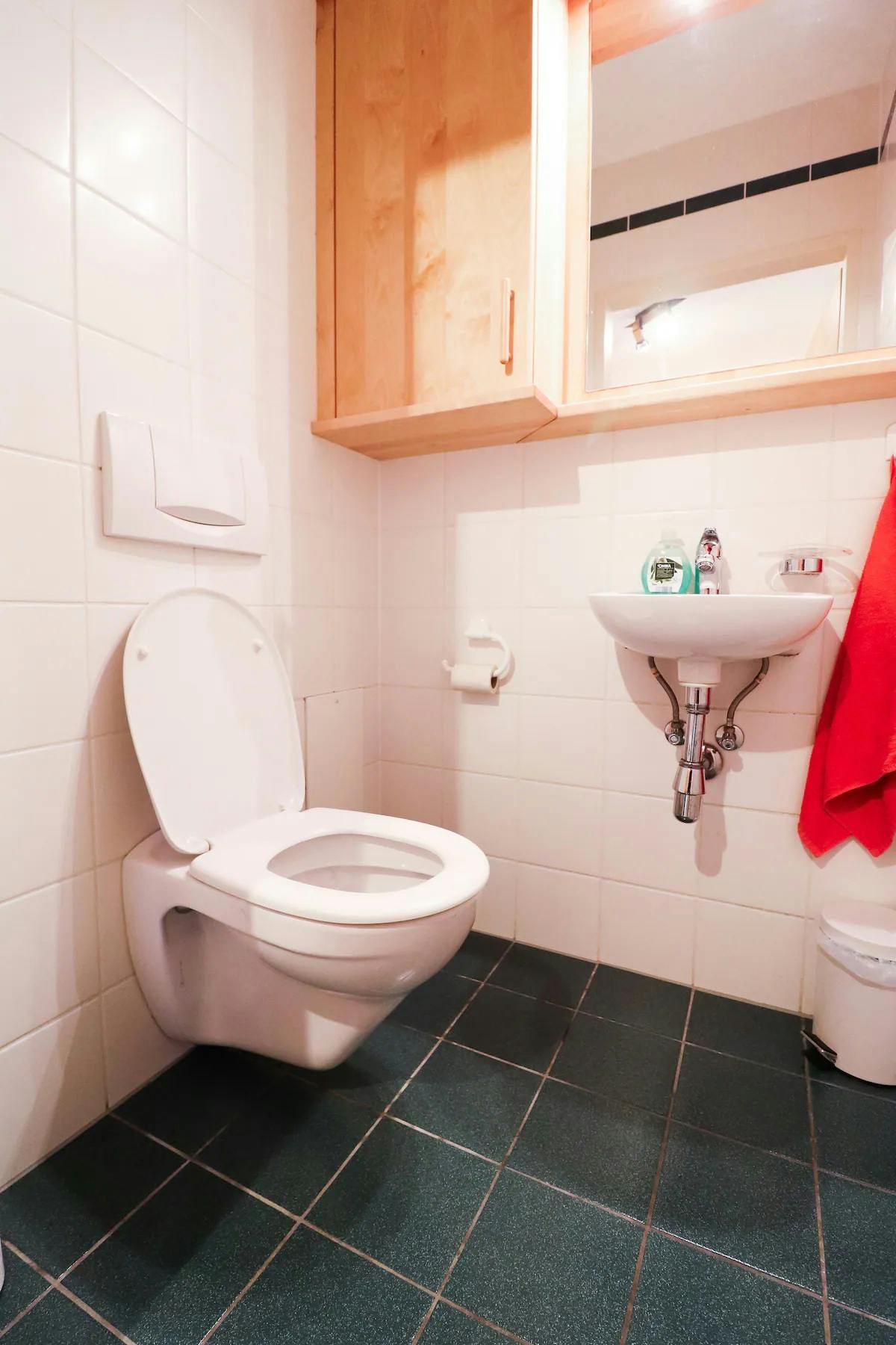 1-Bedroom Apartment in Wurmsergasse, Vienna (1731693) ROOM 2