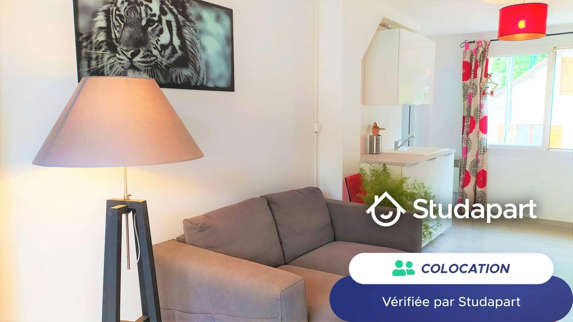 Private room for rent for €370 per month in Conflans-Sainte-Honorine, Rue Pasteur