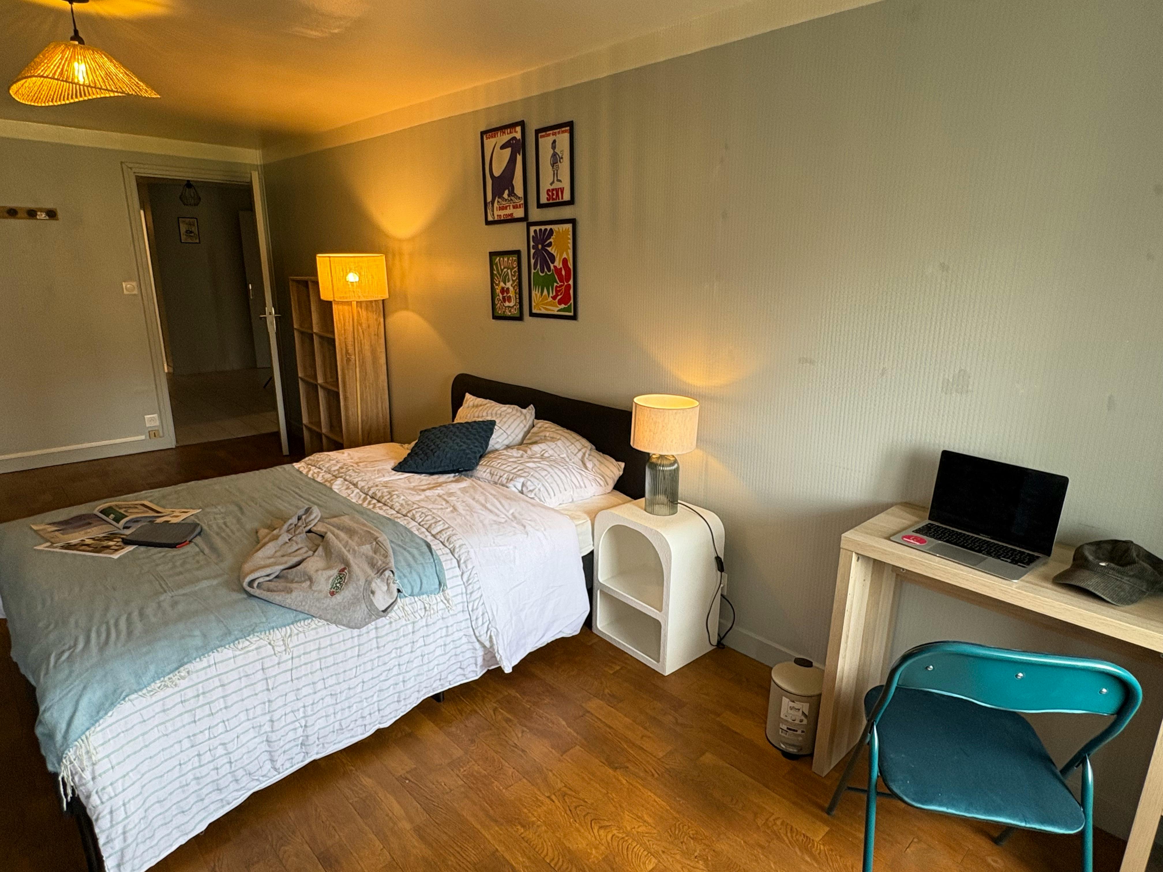Private room in Cours Gambetta, Lyon (1732340) ROOM 1