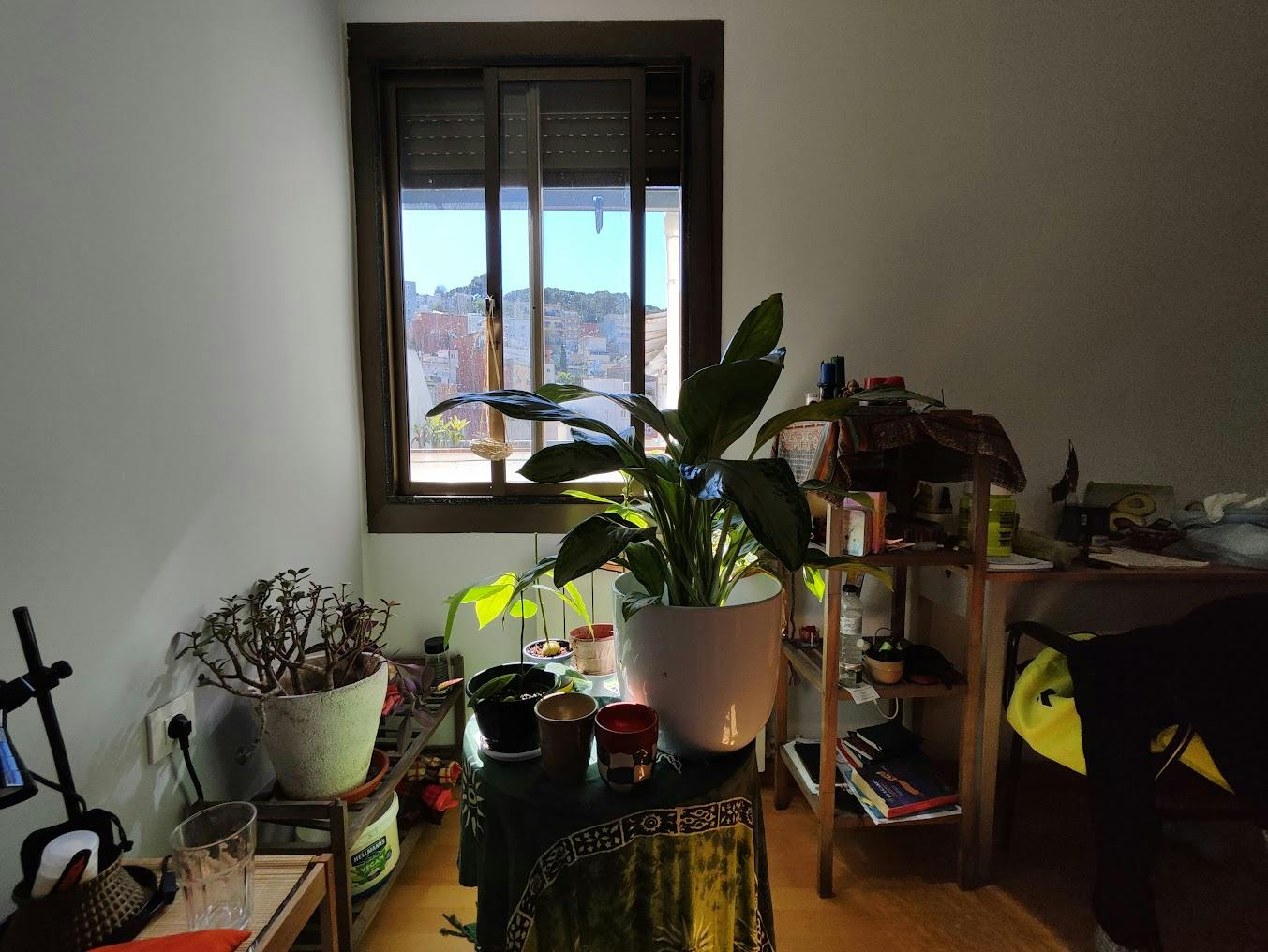 Private room in Carrer d'Arbós, Barcelona (1732465) room image 8