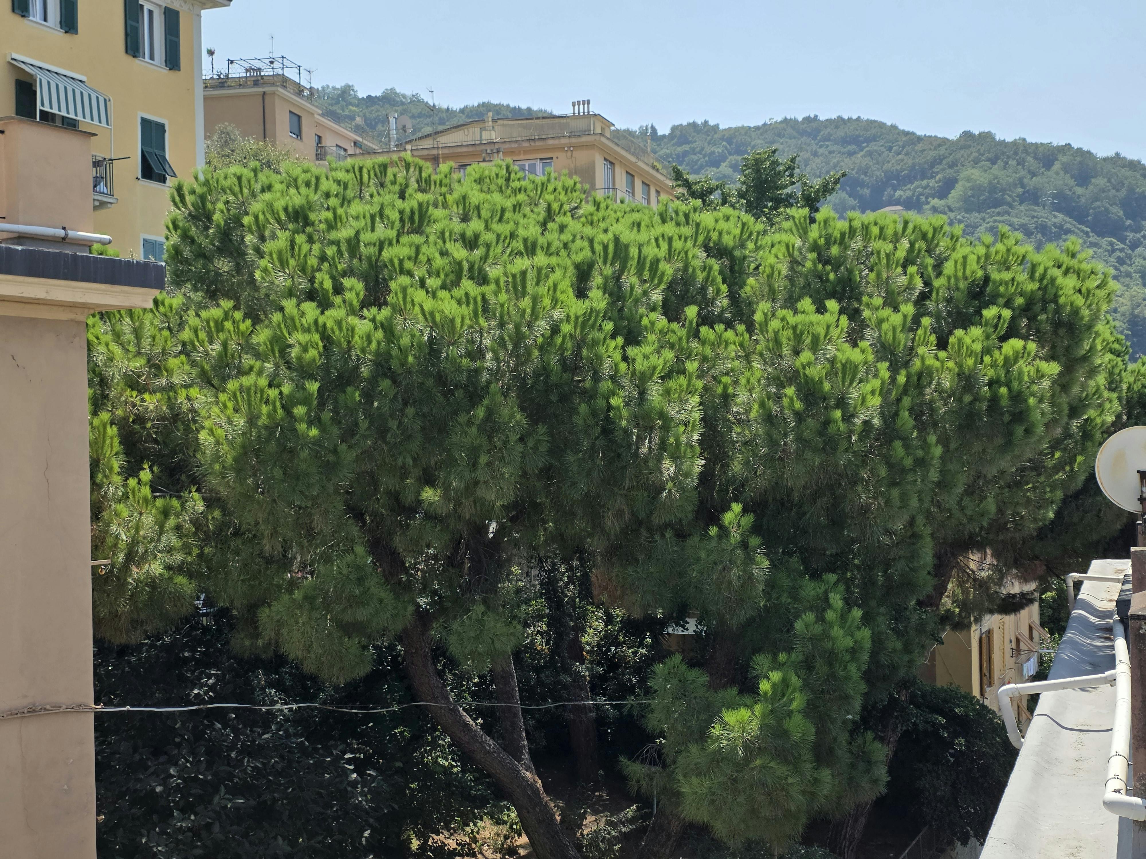 1-Bedroom Apartment in Via Mansueto, Genoa (1732642) ROOM 1
