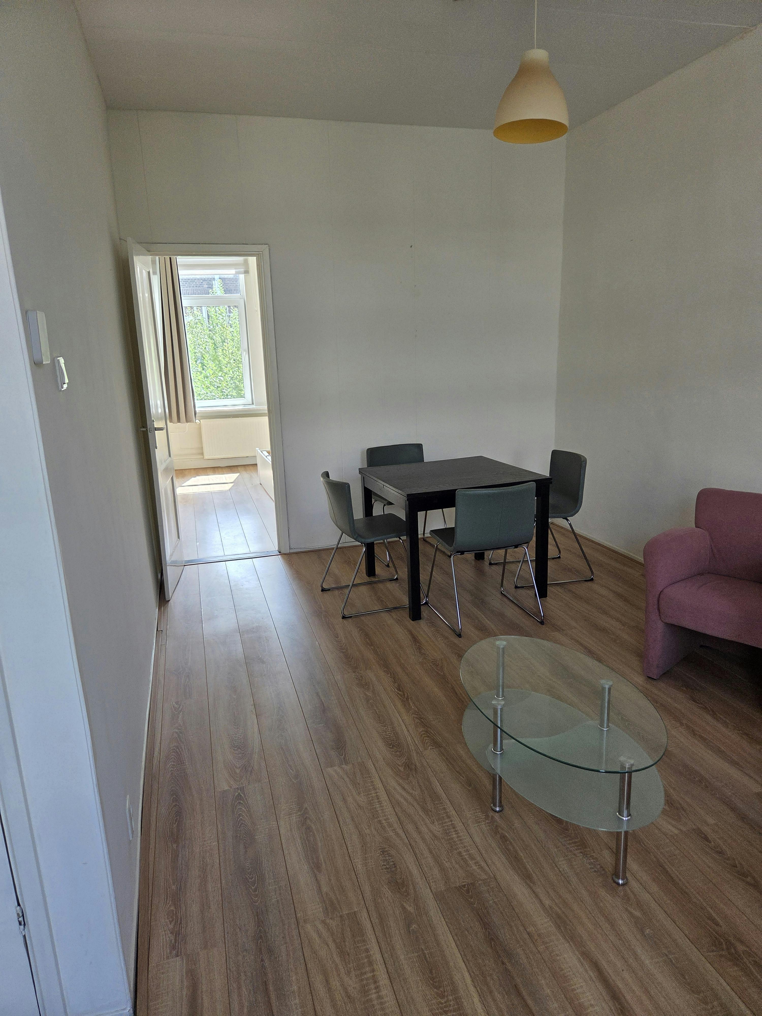 1-Bedroom Apartment in Volmarijnstraat, Rotterdam (1732954) ROOM 1