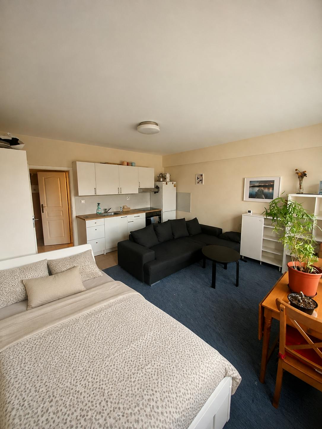 Appartement te huur voor CZK 31.491 per maand in Žižkov, Dalimilova