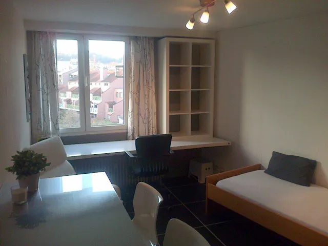 Apartment in Tervuursestraat, Leuven (1733069) room image 1