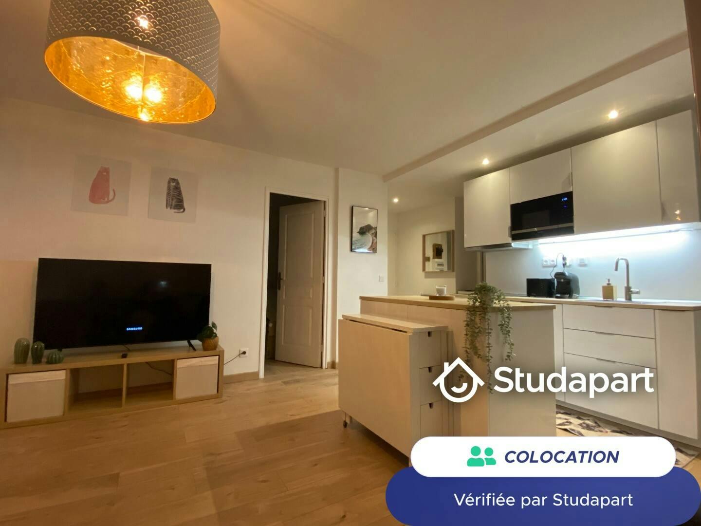 Chambre à Grenoble