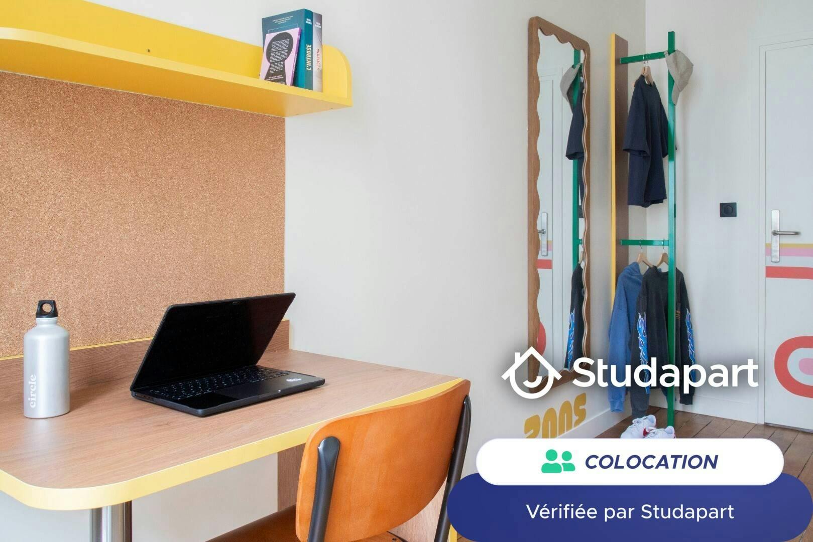 Private room for rent on Rue Lecourbe, Paris
