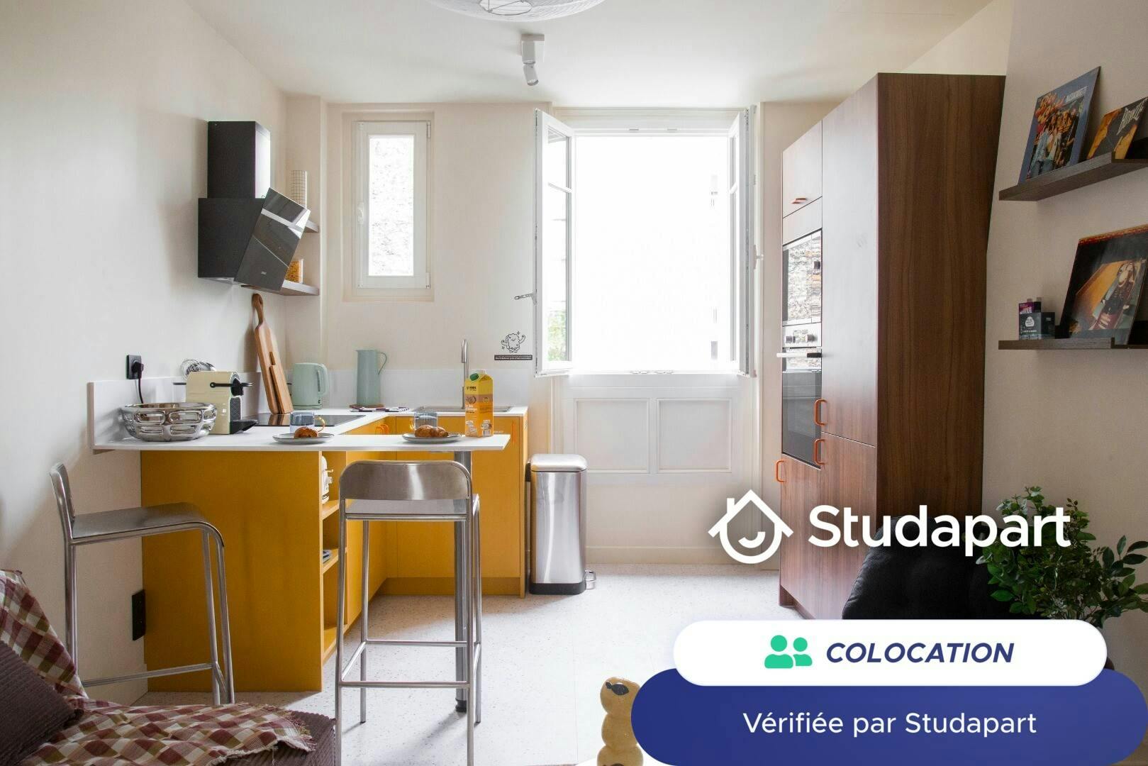 Private room for rent on Rue Lecourbe, Paris - Vue 5
