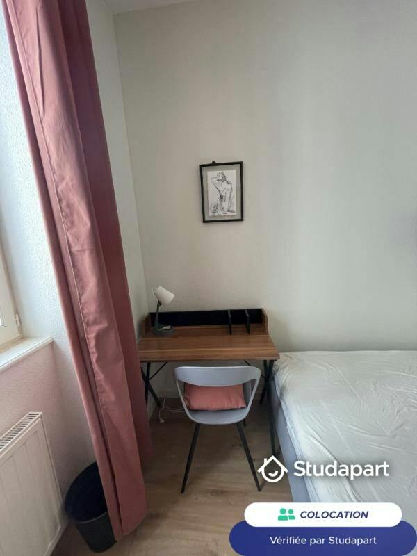Private room for rent on Rue Paul Bert, Lyon - Vue 4