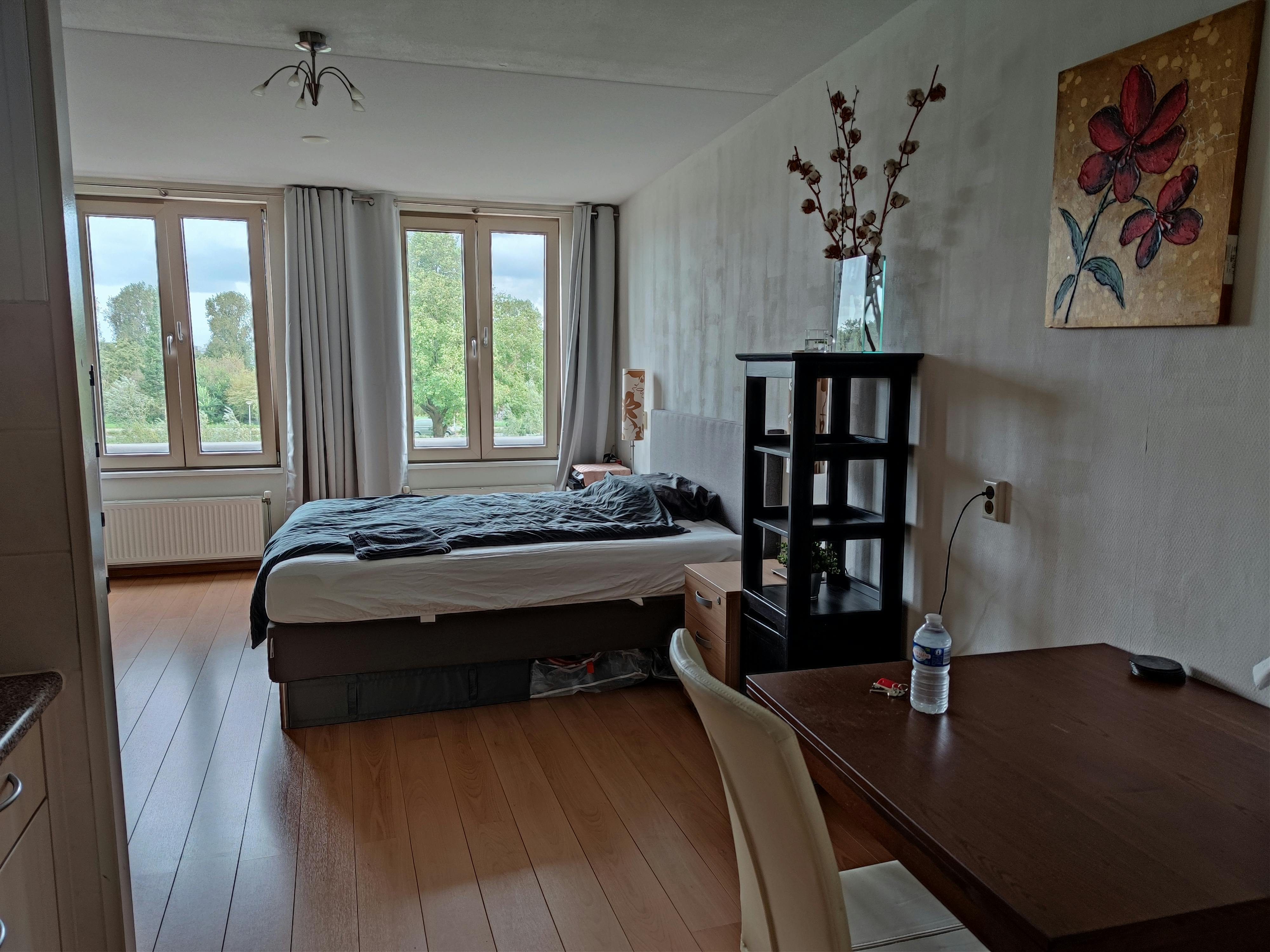 Private room for rent for €1,550 per month in Amsterdam, P. Hans Frankfurthersingel