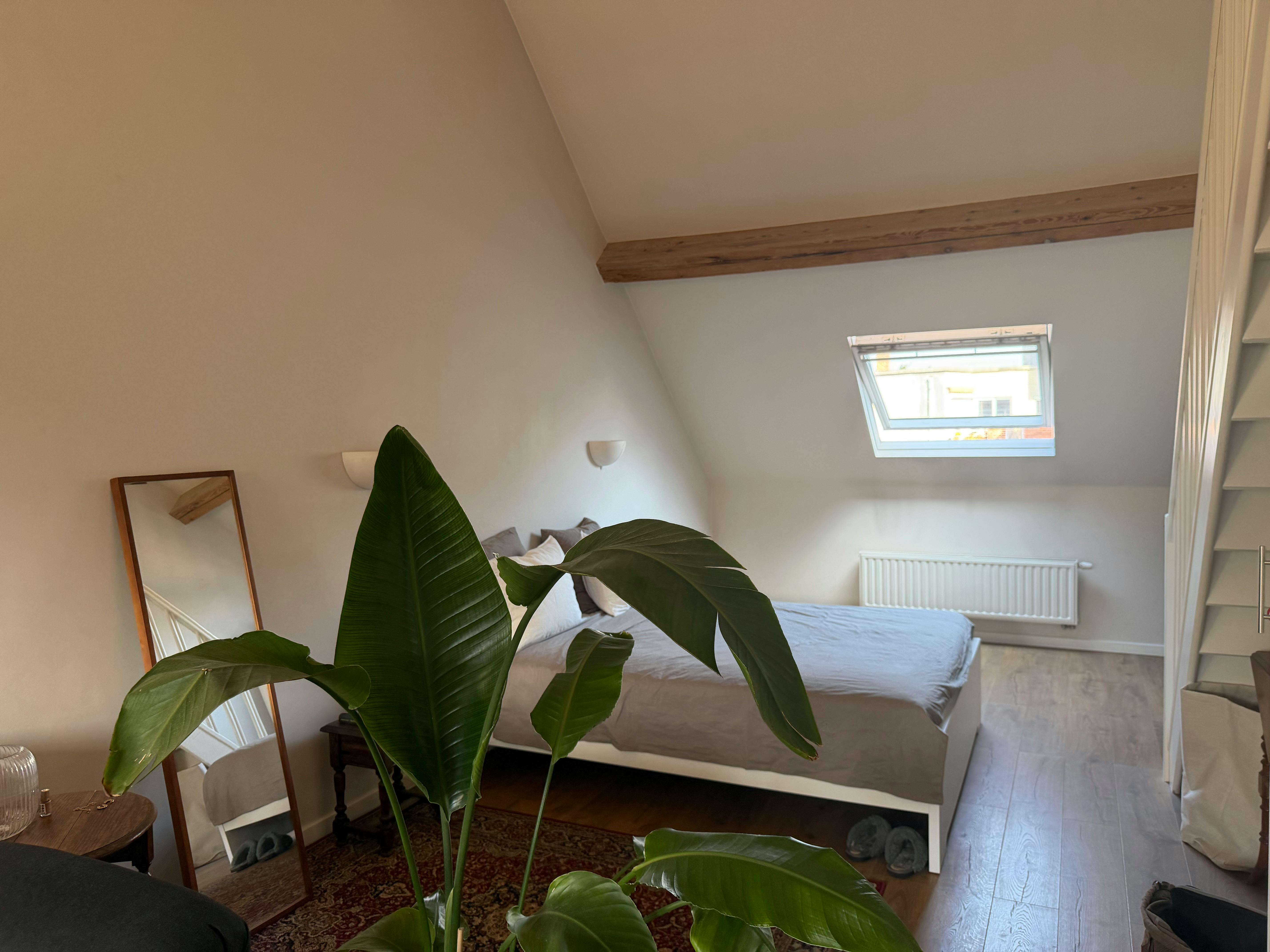1-Bedroom Apartment in Chaussée de Vleurgat, Ixelles (1734542) ROOM 2
