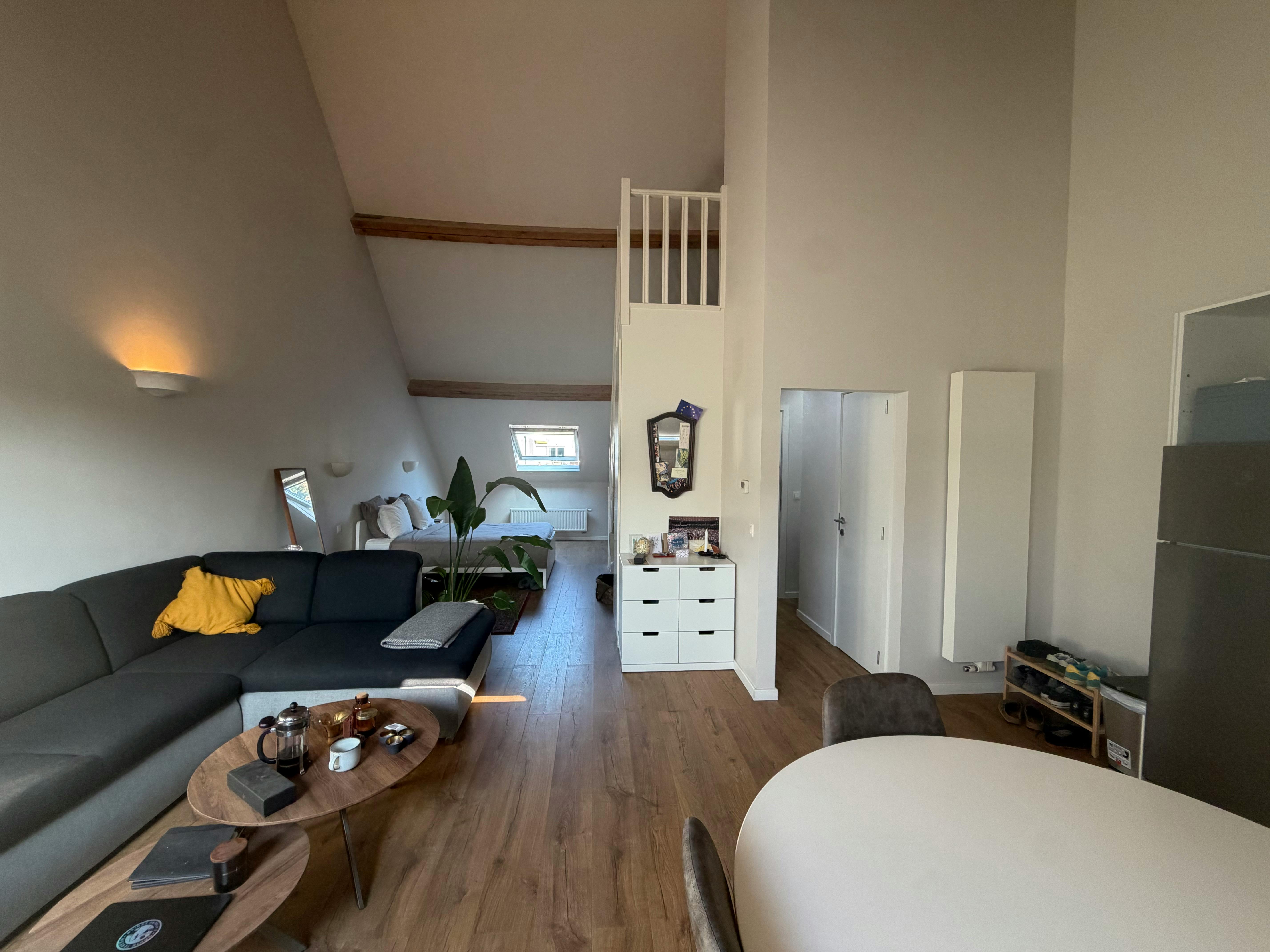 1-Bedroom Apartment in Chaussée de Vleurgat, Ixelles (1734542) ROOM 1