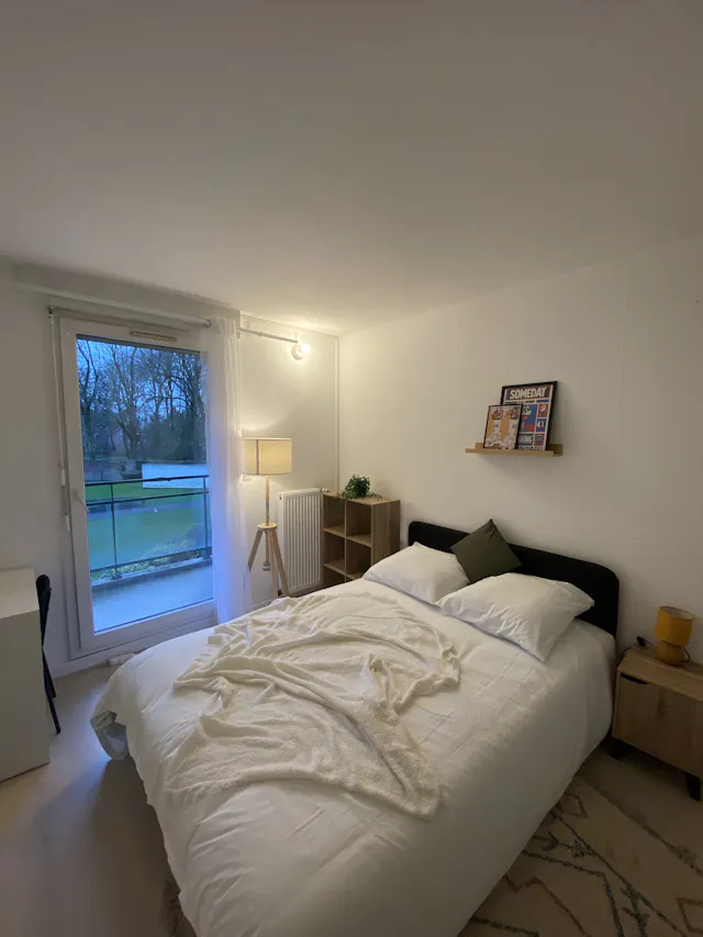 Private room in Rue de la Grande Brasserie, Lille (1734624) room image 1