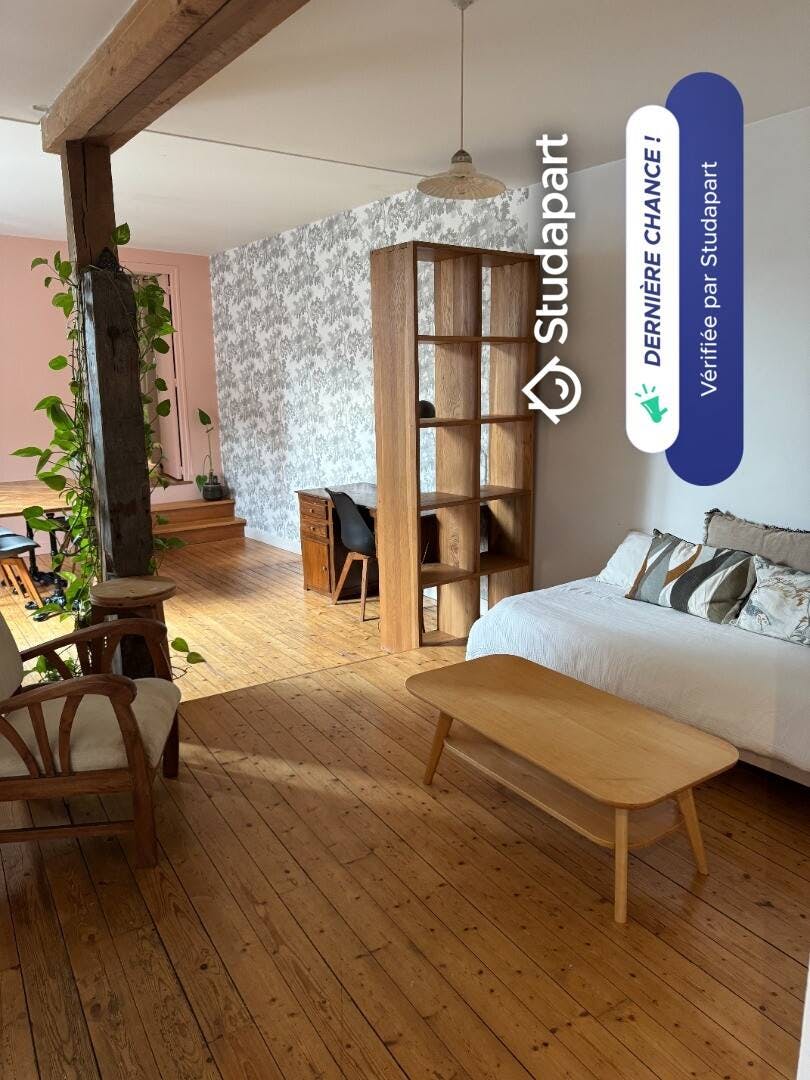 公寓 正在以 €900 的月租出租，其位于 Blois, Rue Haute