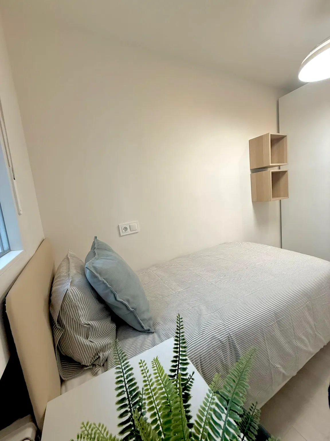 Private room in Calle de Cebreros, Madrid (1734917) ROOM 4