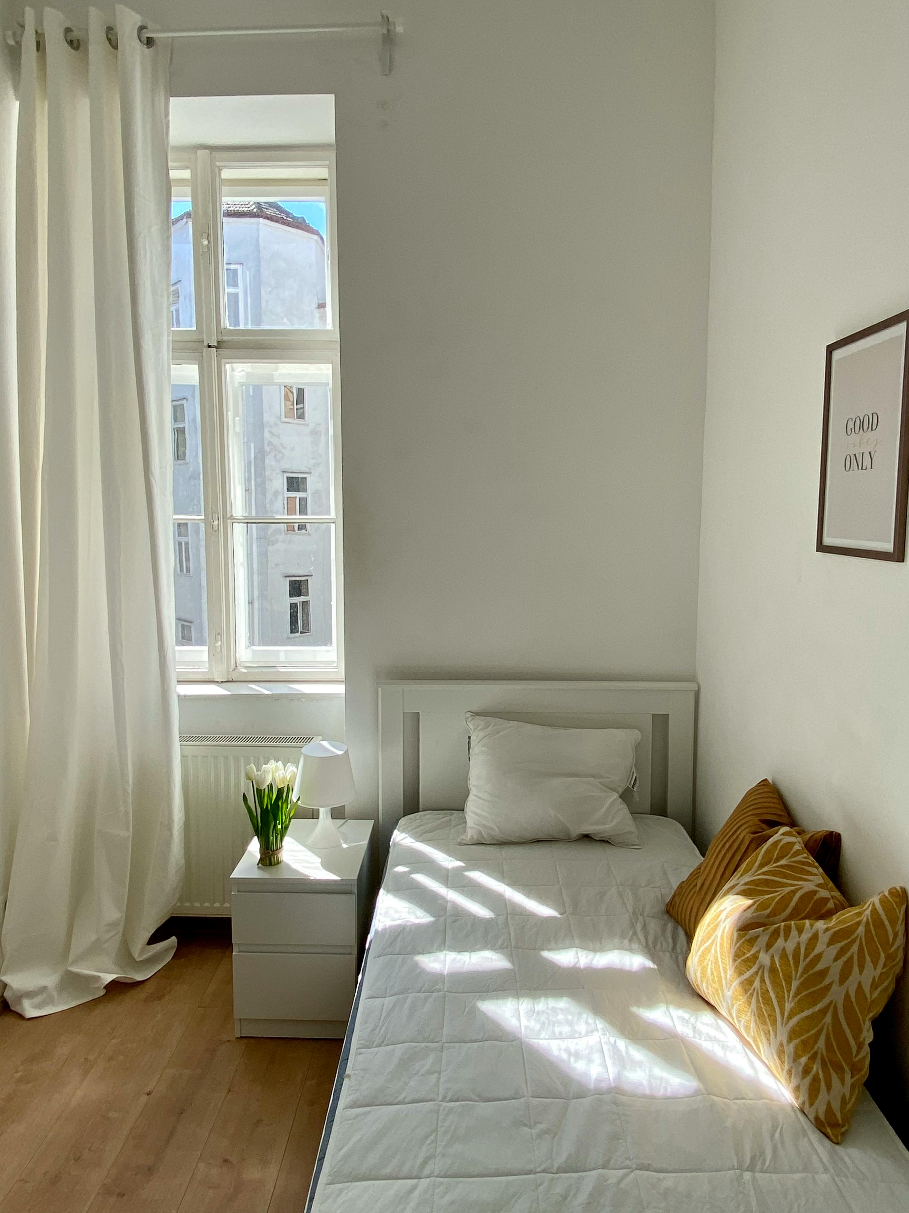 Private room in Reinprechtsdorfer Straße, Vienna (1734925) room image 2