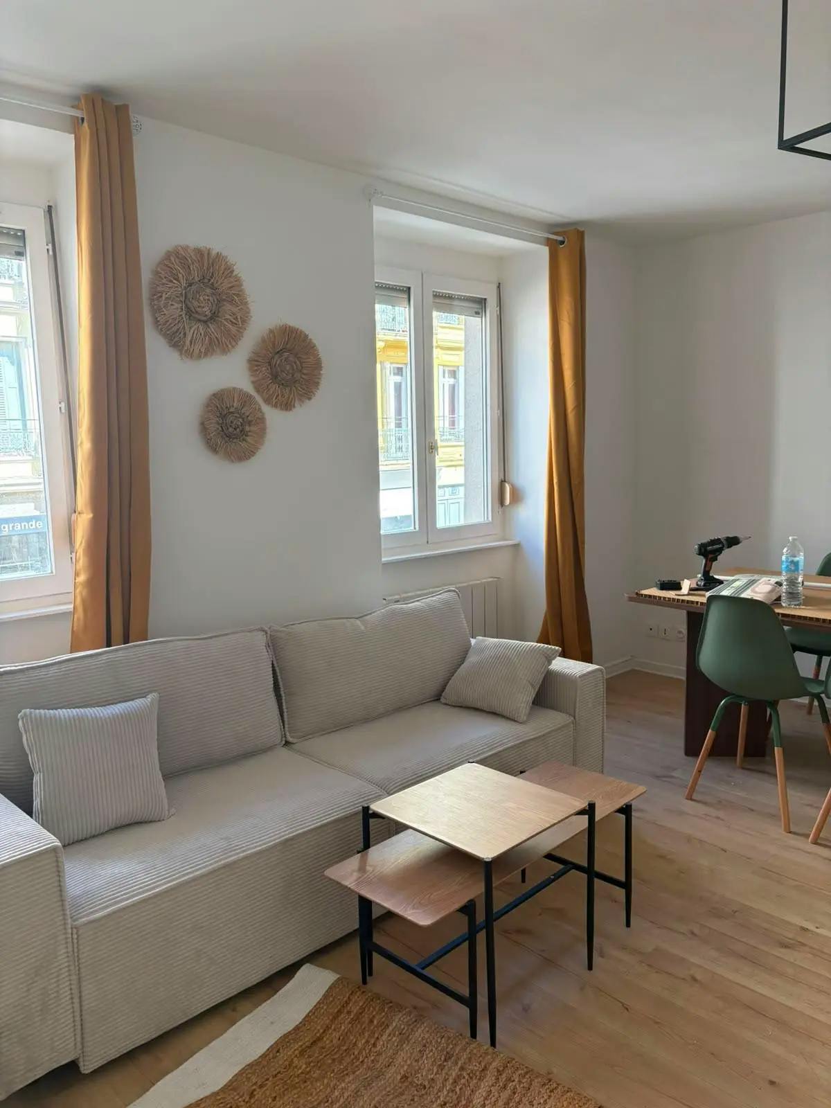 1-Bedroom Apartment in Rue Charles de Gaulle, Saint-Étienne (1735464) ROOM 2