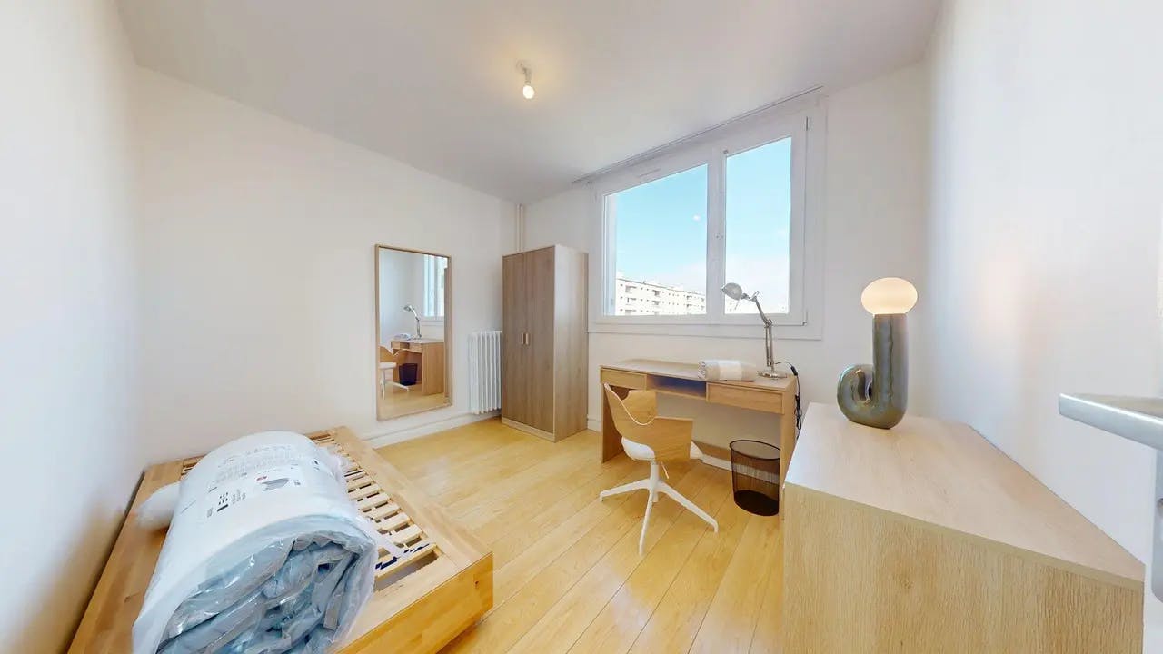 Private room for rent on Rue Philippe Fabia, Lyon - View 3