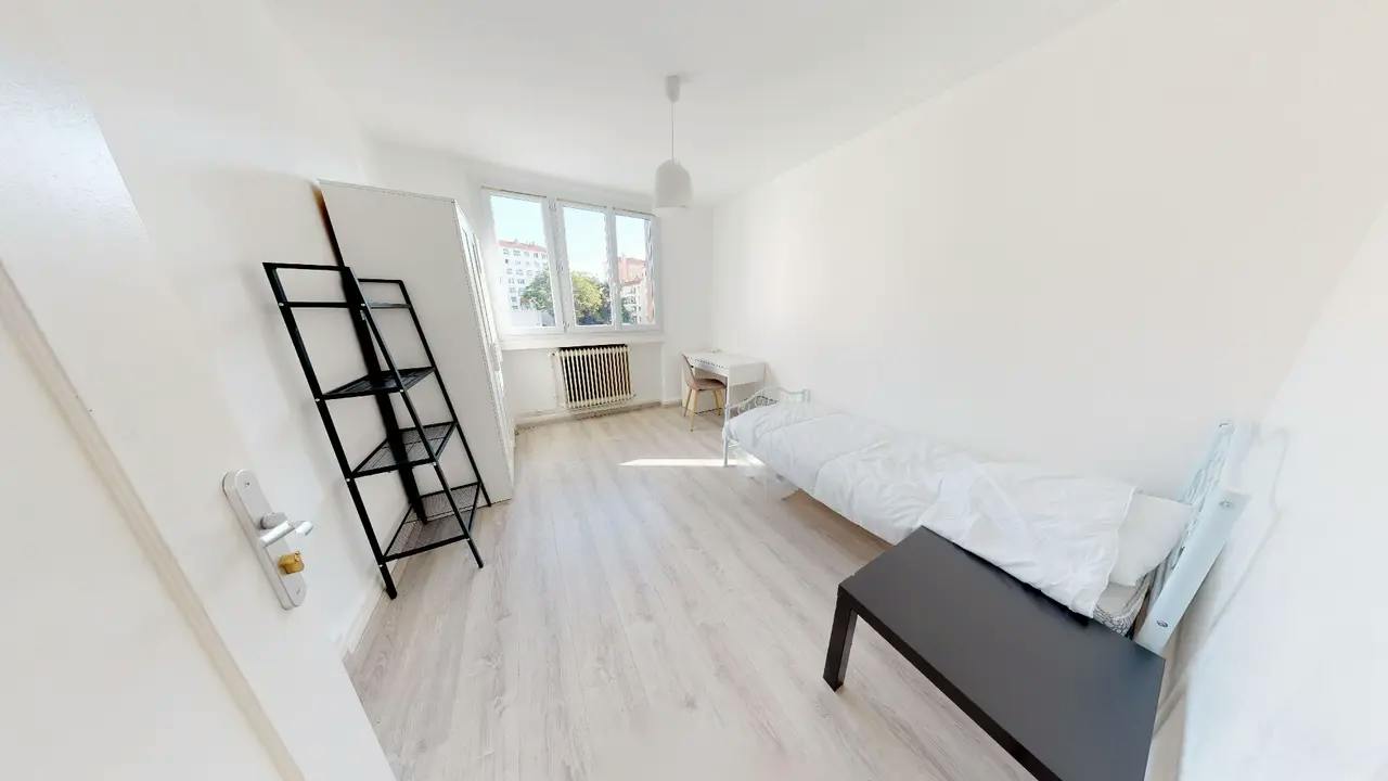 Private room in Rue Xavier Privas, Lyon (1735704) room image 2