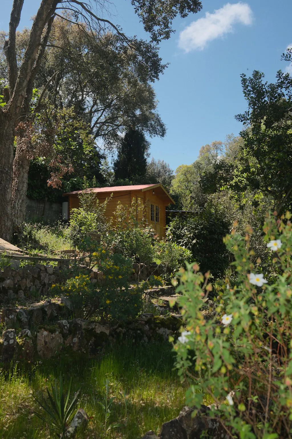 Carrer Anoia, Montbarbat preview