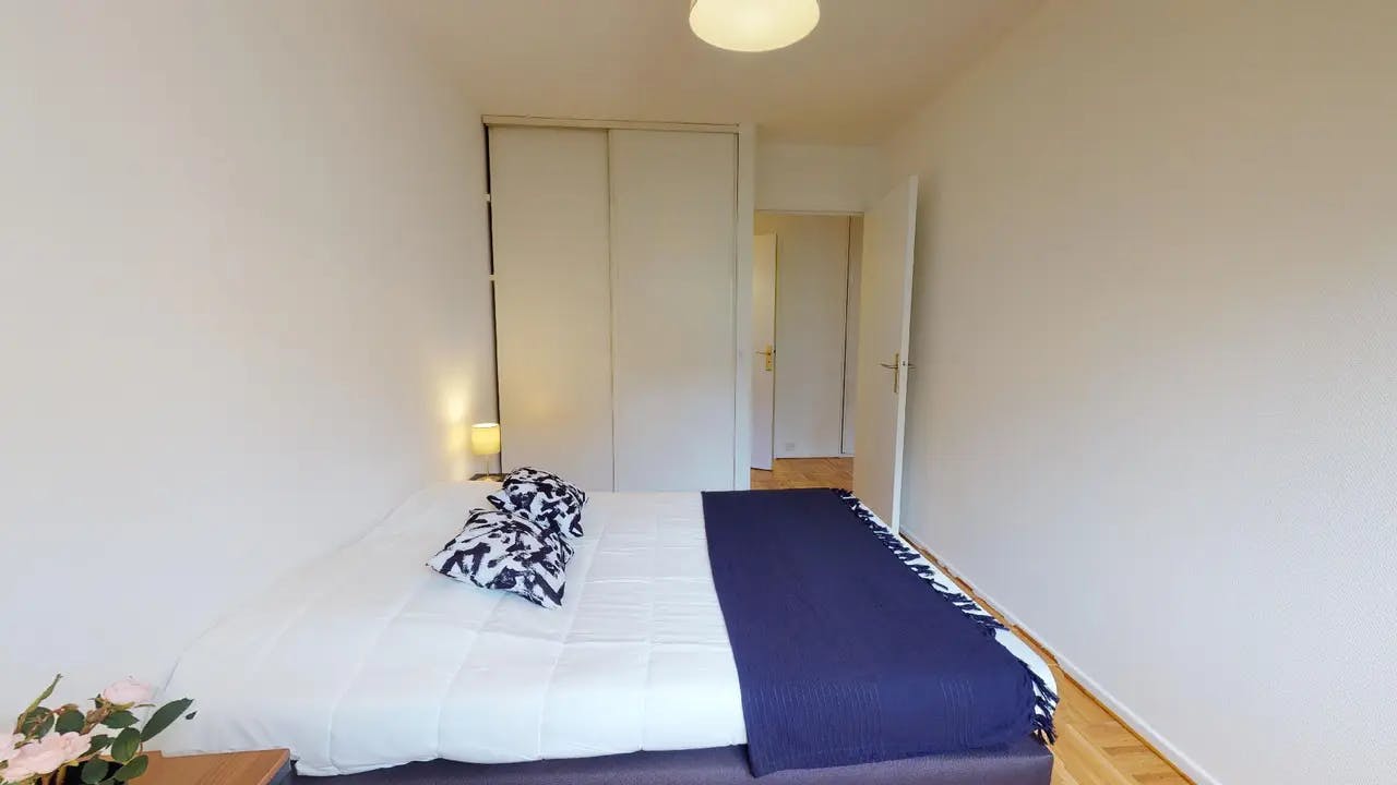 Private room in Avenue Antoine Dutrievoz, Villeurbanne (1735734) ROOM 1