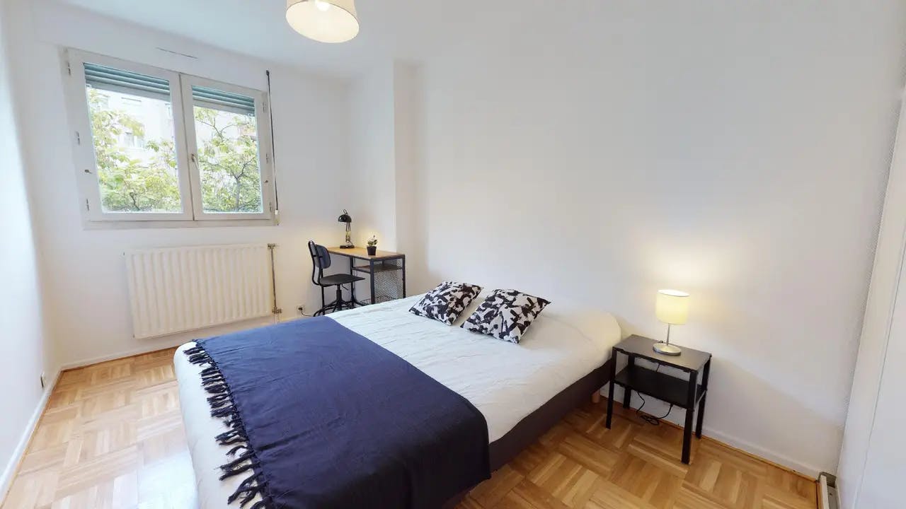 Private room in Avenue Antoine Dutrievoz, Villeurbanne (1735734) ROOM 2