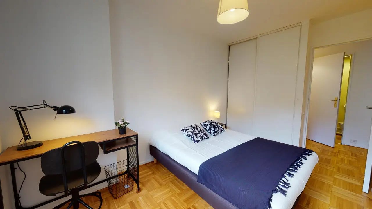 Private room in Avenue Antoine Dutrievoz, Villeurbanne (1735734) ROOM