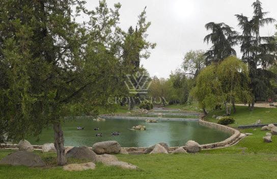 Image #9