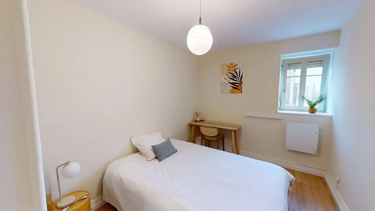 Private room in Rue du Saule, Mulhouse (1735998) ROOM 4