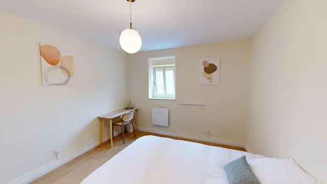 Private room in Rue du Saule, Mulhouse (1736004) room image 2