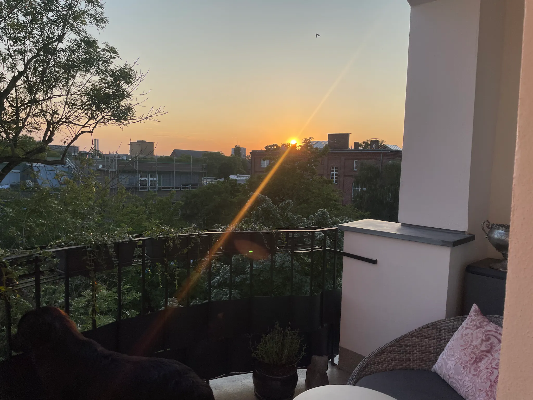 1-Bedroom Apartment in Nicolaistraße, Berlin (1736171) ROOM 4