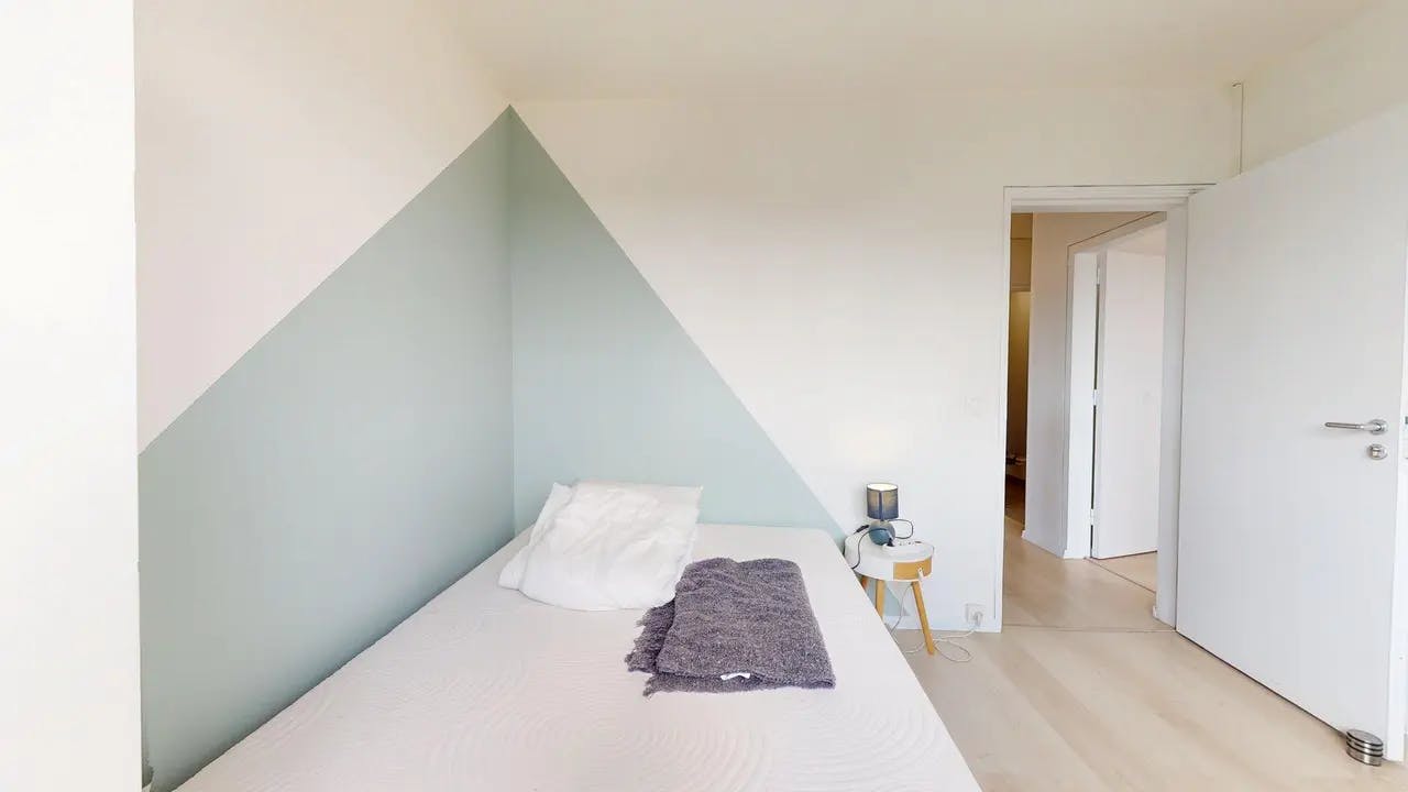 Private room in Rue des Plantes, Metz (1736598) room image 4