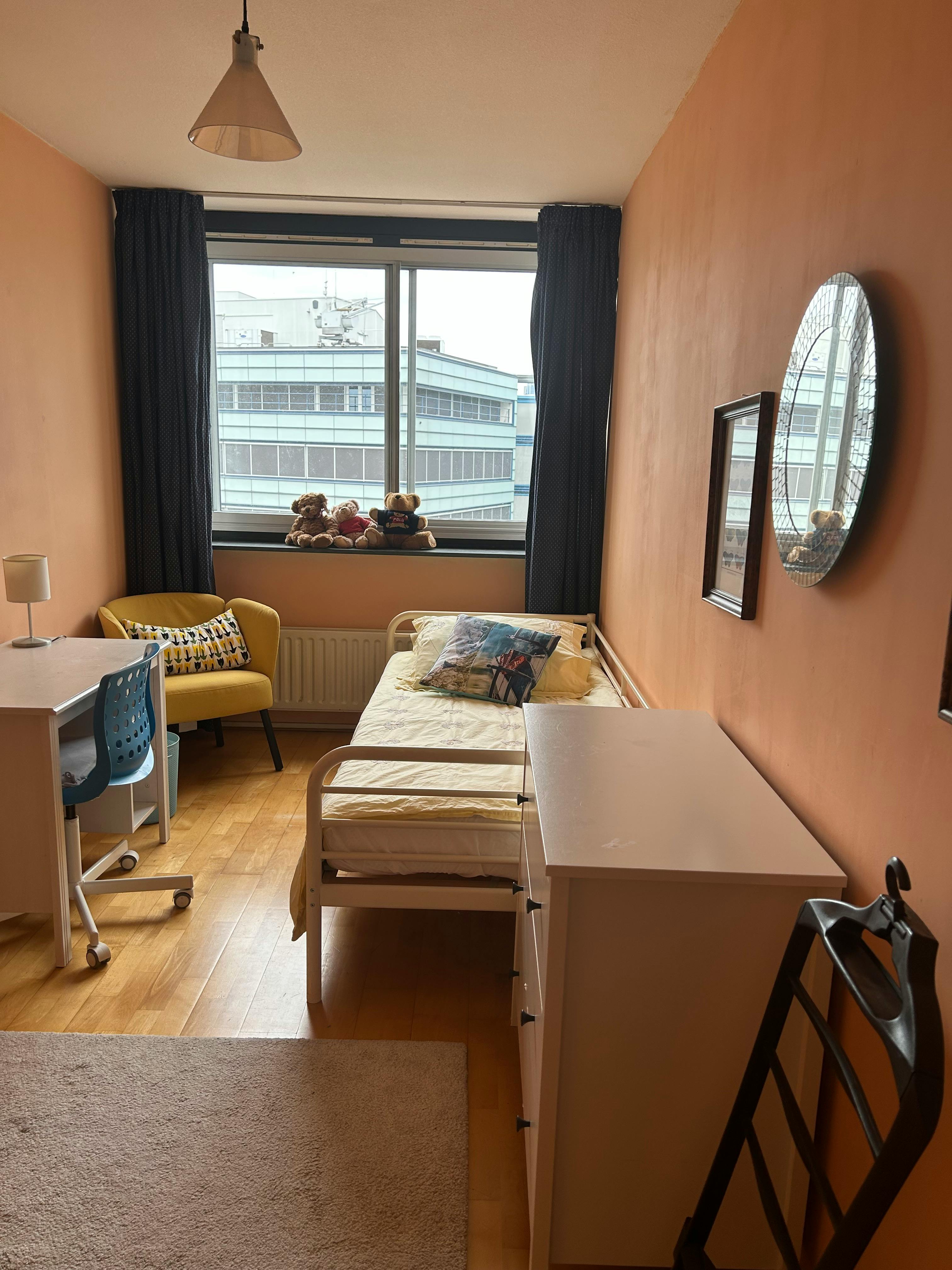 Private room in Gedempte Zalmhaven, Rotterdam (1736603) ROOM