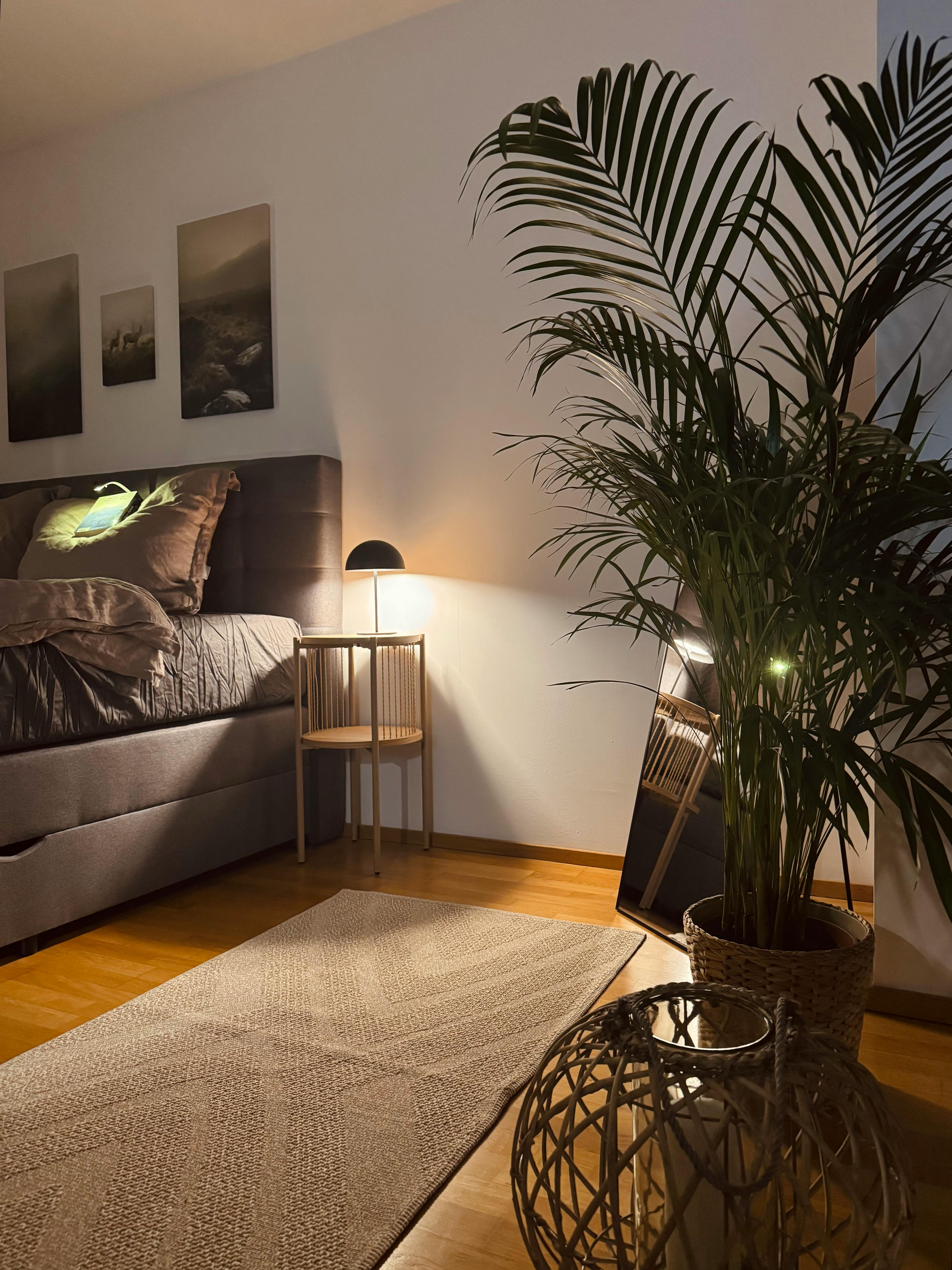 2-Bedroom Apartment in Hans-Maier-Straße, Innsbruck (1736946) ROOM 2